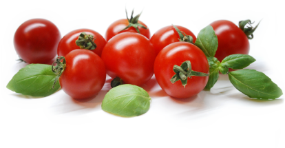 Tomatoes